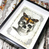 Luna Lovewitch Enchanted Creatures - Deaths Head Hawk Moth - Skull print