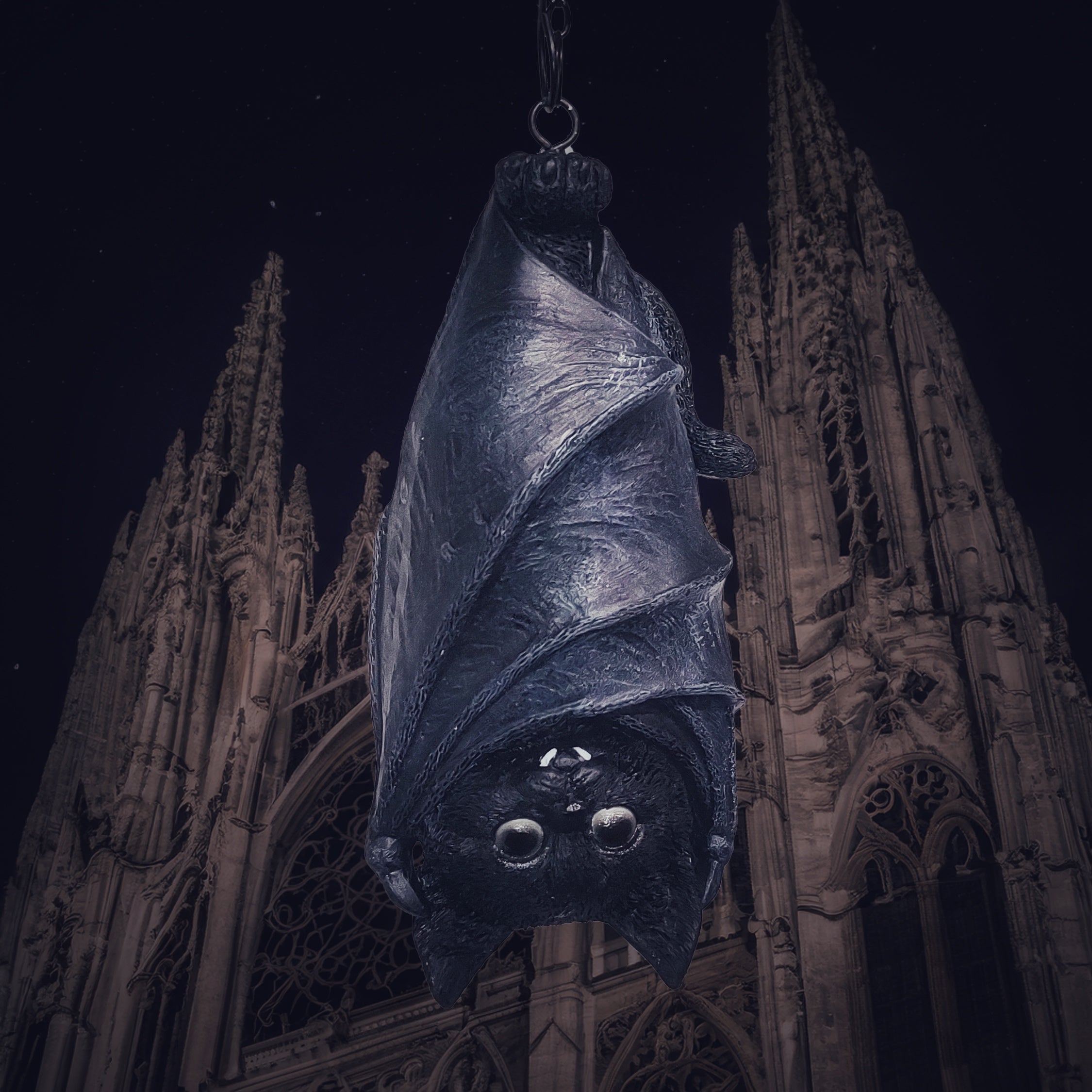 Hanging cat in bat wings