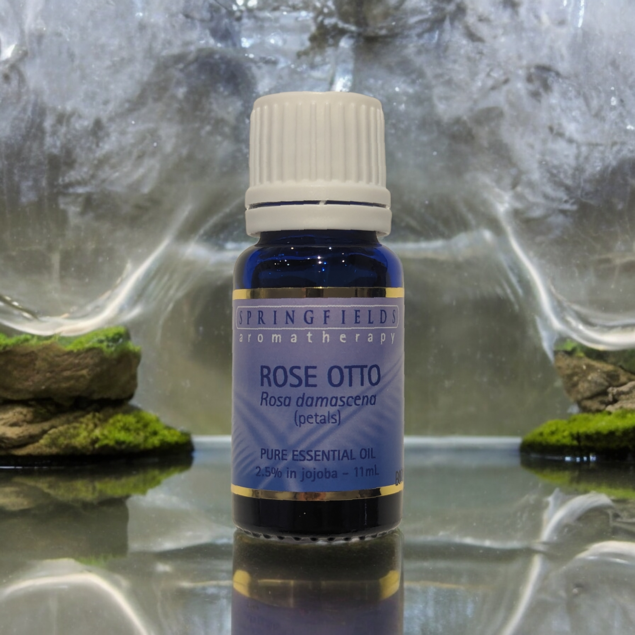 Rose 2.5% in Jojoba Essential Oil 11ml