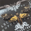 Luna Lovewitch Enchanted Creatures - Death Head Moth - Ouija print